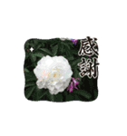 お花が笑ってる（個別スタンプ：15）