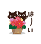 動く！大人かわいい絵本の猫38[春の花]（個別スタンプ：18）