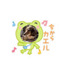 ミニチュアダックスのジョナスくん4（個別スタンプ：14）