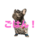 いきいきばぶるmax（個別スタンプ：2）