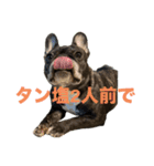 いきいきばぶるmax（個別スタンプ：3）