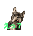 いきいきばぶるmax（個別スタンプ：4）