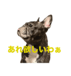 いきいきばぶるmax（個別スタンプ：5）