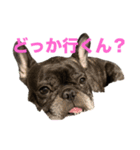 いきいきばぶるmax（個別スタンプ：7）