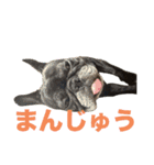 いきいきばぶるmax（個別スタンプ：8）