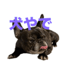 いきいきばぶるmax（個別スタンプ：10）