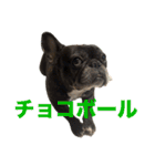いきいきばぶるmax（個別スタンプ：14）