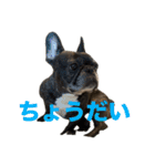 いきいきばぶるmax（個別スタンプ：15）