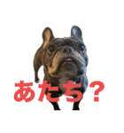 いきいきばぶるmax（個別スタンプ：17）