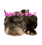 いきいきばぶるmax（個別スタンプ：18）