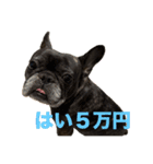 いきいきばぶるmax（個別スタンプ：20）
