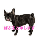 いきいきばぶるmax（個別スタンプ：21）