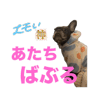 いきいきばぶるmax（個別スタンプ：22）