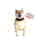Happy potato's stamp（個別スタンプ：4）