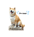 Happy potato's stamp（個別スタンプ：5）