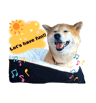Happy potato's stamp（個別スタンプ：6）