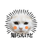 うちのMAVERICKくん知りませんか？（個別スタンプ：3）