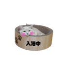 うちのMAVERICKくん知りませんか？（個別スタンプ：7）