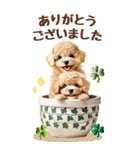 癒しプードルの春のあいさつ【BIG】（個別スタンプ：11）