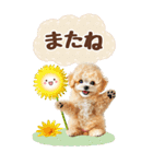 癒しプードルの春のあいさつ【BIG】（個別スタンプ：24）