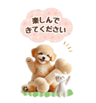 癒しプードルの春のあいさつ【BIG】（個別スタンプ：33）
