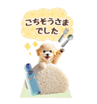 癒しプードルの春のあいさつ【BIG】（個別スタンプ：35）