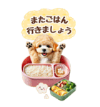 癒しプードルの春のあいさつ【BIG】（個別スタンプ：36）