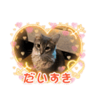 シフォン♡chiffon（個別スタンプ：14）