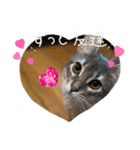 シフォン♡chiffon（個別スタンプ：19）