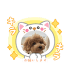 ピノさんwith2025（個別スタンプ：2）