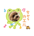 ピノさんwith2025（個別スタンプ：3）