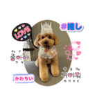 ピノさんwith2025（個別スタンプ：4）