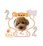 ピノさんwith2025（個別スタンプ：6）