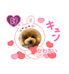 ピノさんwith2025（個別スタンプ：8）