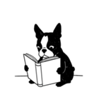 かわいいボストンテリアのスタンプ(犬)（個別スタンプ：12）