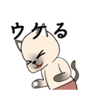 プールサイドのシャム猫（個別スタンプ：2）