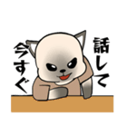 プールサイドのシャム猫（個別スタンプ：4）