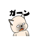 プールサイドのシャム猫（個別スタンプ：9）