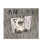 プールサイドのシャム猫（個別スタンプ：11）