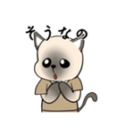プールサイドのシャム猫（個別スタンプ：12）
