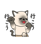 プールサイドのシャム猫（個別スタンプ：13）