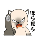 プールサイドのシャム猫（個別スタンプ：15）