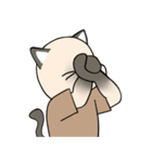 プールサイドのシャム猫（個別スタンプ：16）