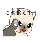 プールサイドのシャム猫（個別スタンプ：18）