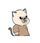 プールサイドのシャム猫（個別スタンプ：24）