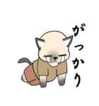 プールサイドのシャム猫（個別スタンプ：30）