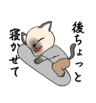 プールサイドのシャム猫（個別スタンプ：33）