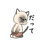 プールサイドのシャム猫（個別スタンプ：34）