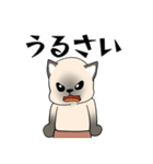 プールサイドのシャム猫（個別スタンプ：39）
