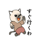 プールサイドのシャム猫（個別スタンプ：40）